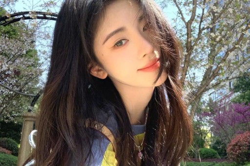 前NFL明星马塞勒斯·威利被控家暴：威胁妻子生命引发关注