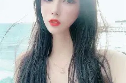 《央视财经评论》20251208明星网红为何成逃税“黑洞”？