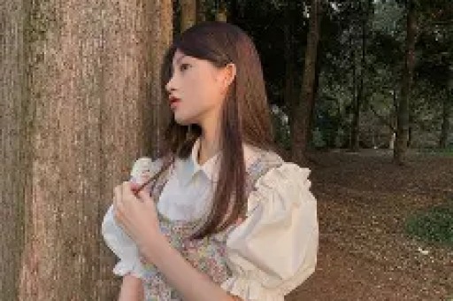 持续加力系统施治防范网红明星偷逃税